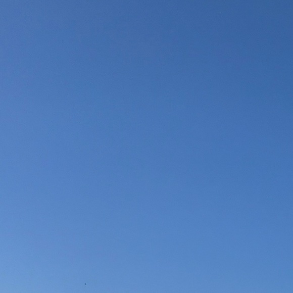 Meet your Posher, Lauren - Picture 1 of 1